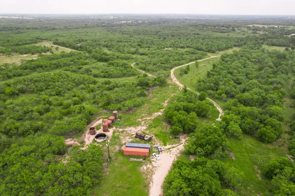 a view of a lush green forest with trees and houses