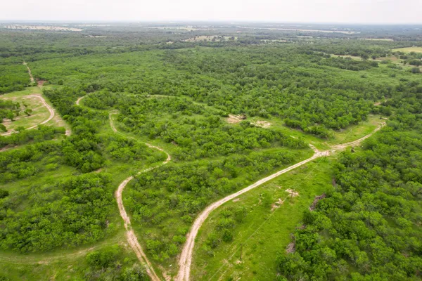 a view of a city with lush green forest