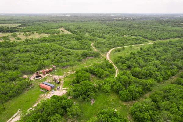 a view of a forest with a lush green forest