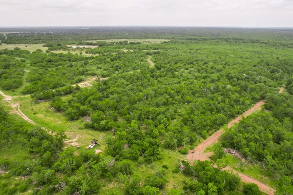 a view of a lush green forest with trees and some houses