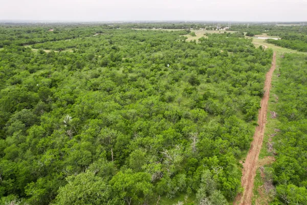 a view of a green yard with large trees