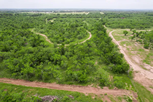 a view of a lush green forest with a building in the background