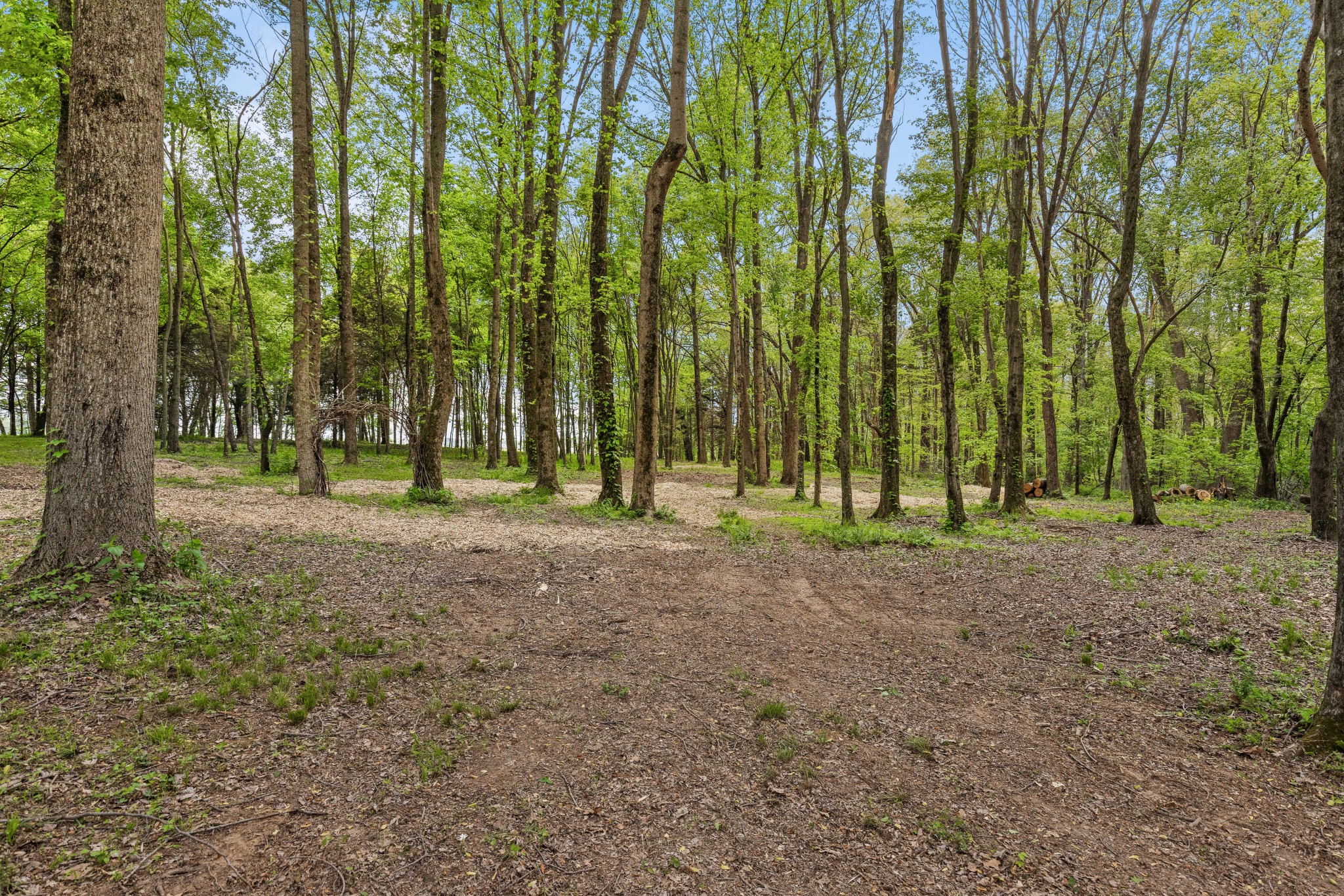 7909 Bill Moss Road White House, TN 37188 - Photo 93 of 100