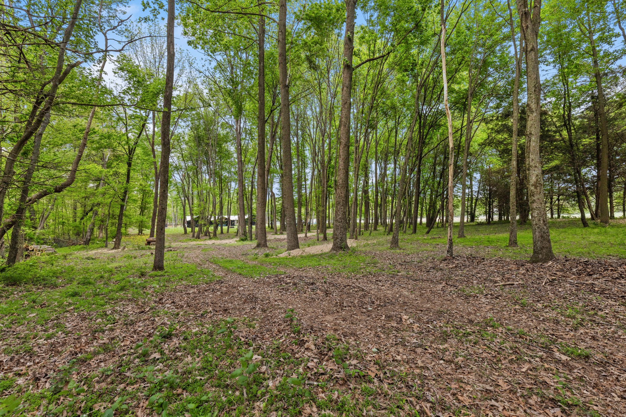 7909 Bill Moss Road White House, TN 37188 - Photo 94 of 100