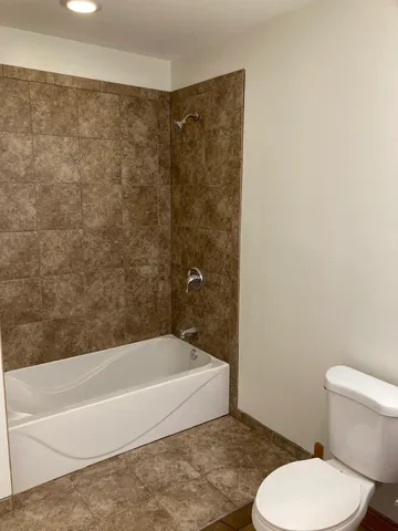 a bathroom with a toilet and a bathtub