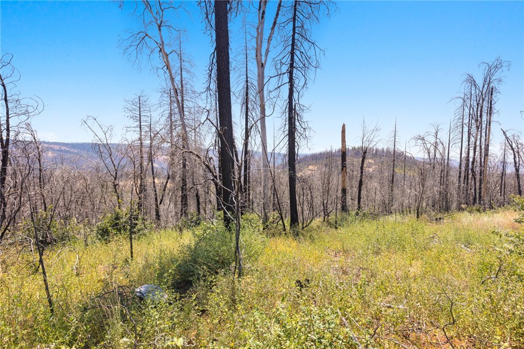 335 Mann And Nolta Ridge Chico, CA 95973 - Photo 24 of 25