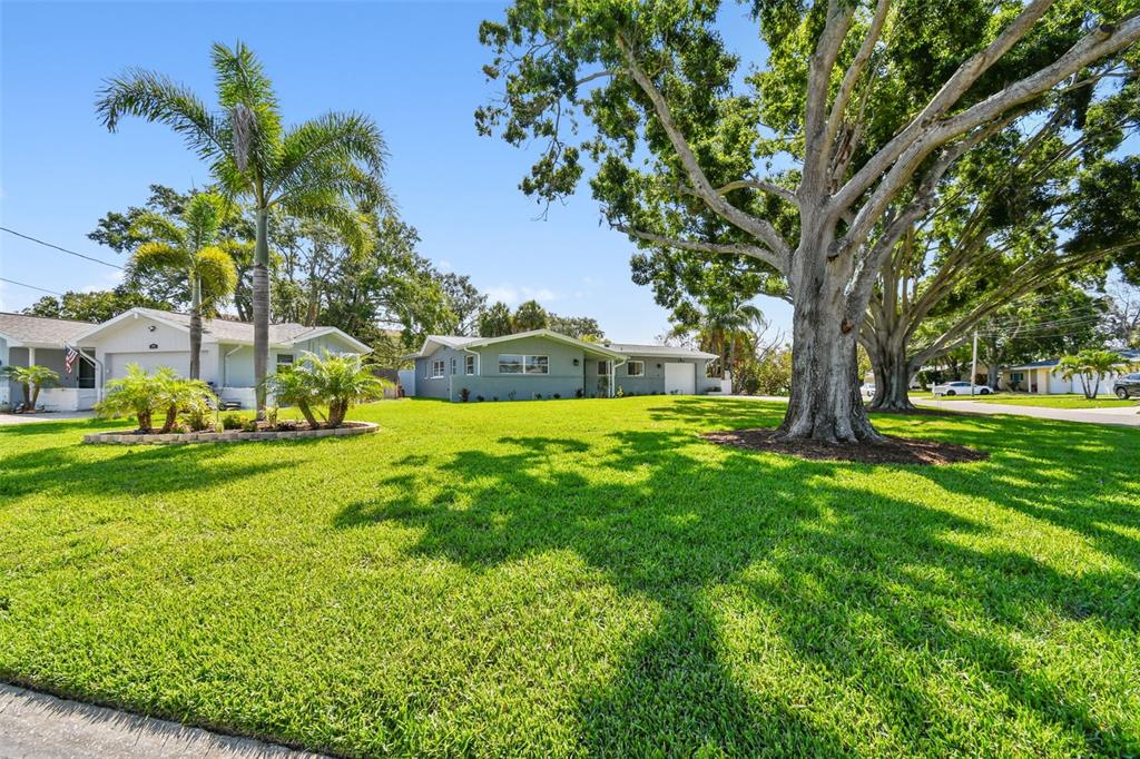 94 Nicholas Drive Dunedin, FL 34698 - Photo 38 of 46