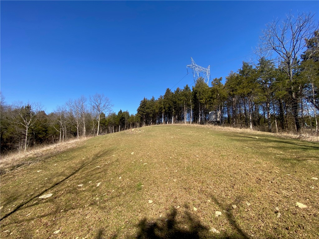43 Old State Road Manchester, OH 45144 - Photo 4 of 11 Expansive green hillside, framed by trees, offers scenic outdoor living.