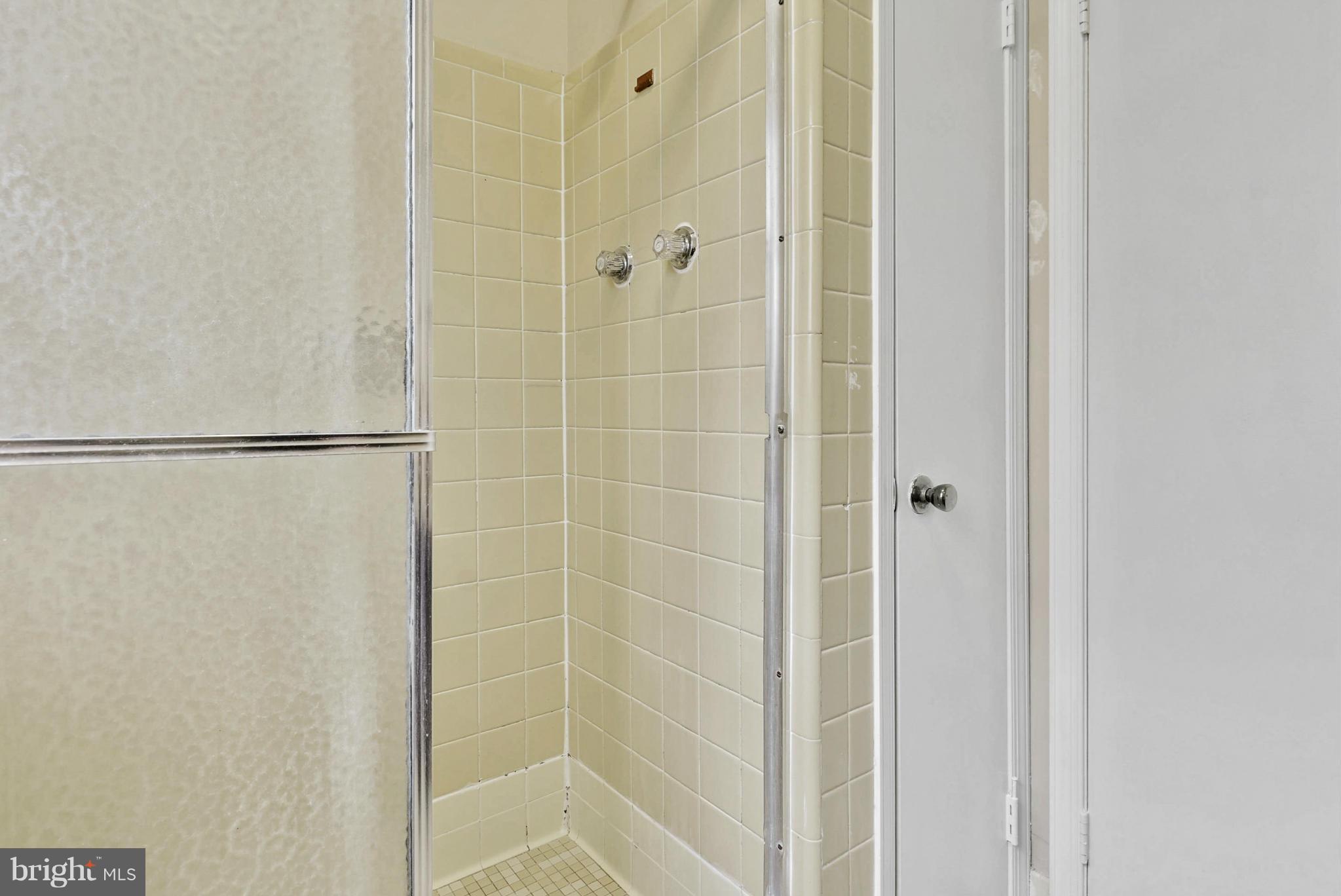 9503 Flower Avenue Silver Spring, MD 20901 - Photo 29 of 30 a bathroom with a shower