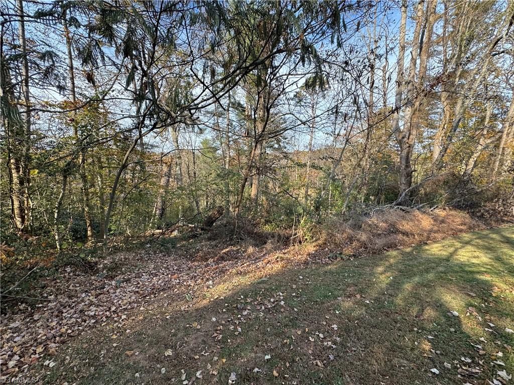 1351 Luffman Road Ronda, NC 28670 - Photo 24 of 32 Gallery Image 24
