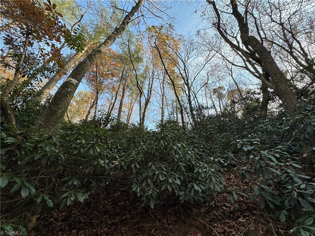 1351 Luffman Road Ronda, NC 28670 - Photo 28 of 32 Gallery Image 28