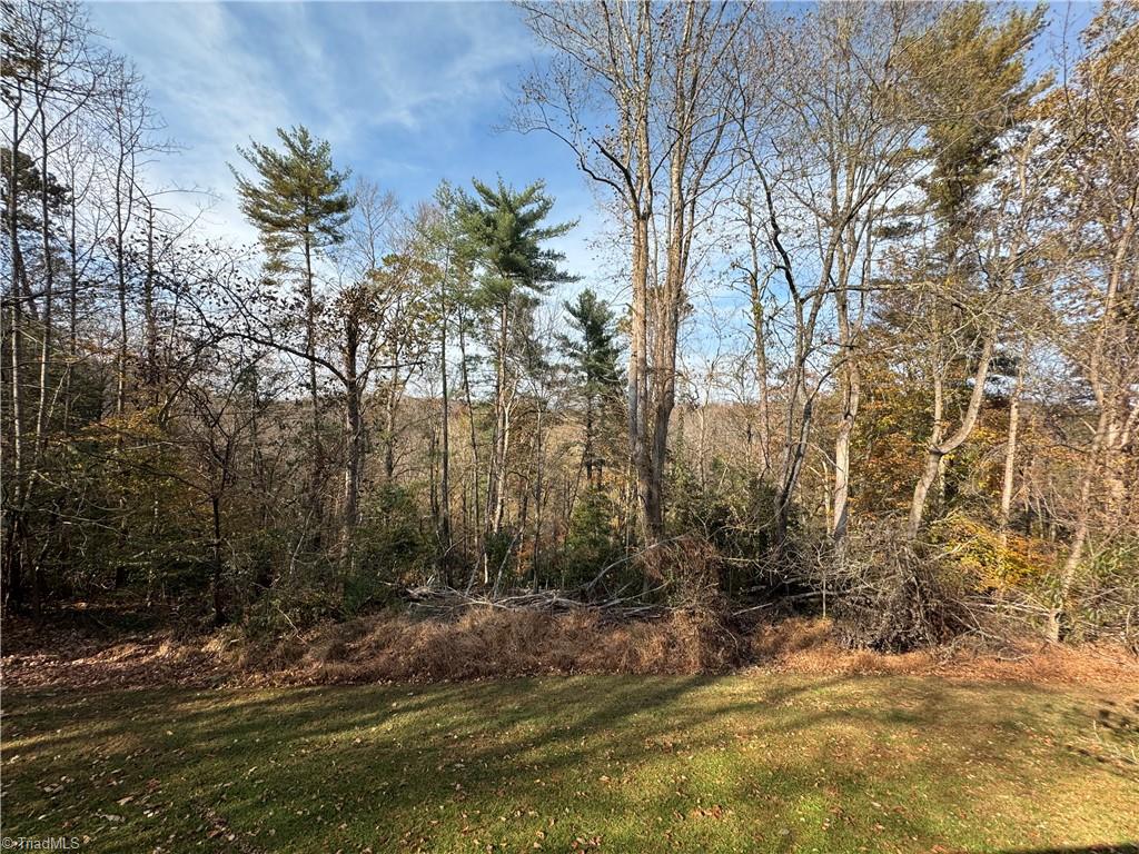 1351 Luffman Road Ronda, NC 28670 - Photo 7 of 32 Gallery Image 7