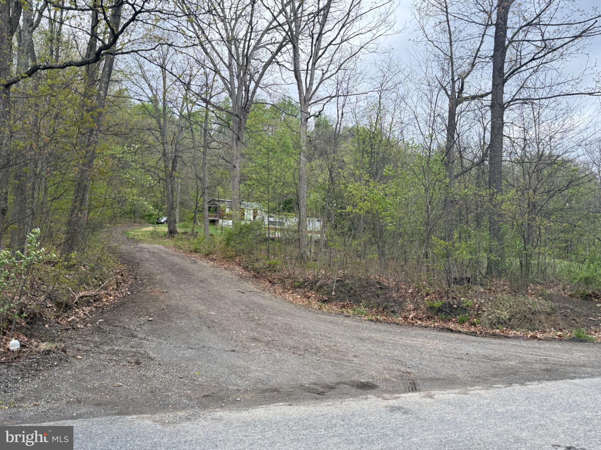 15232 Wrangletown Road Mount Union, PA 17066 - Photo 90 of 92 Serene woodland path awaits exploration.