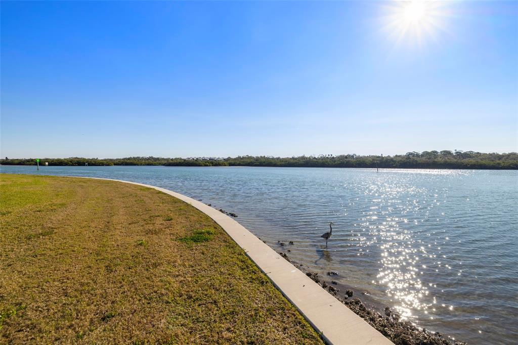 1 Windrush Boulevard, Unit 19 Indian Rocks Beach, FL 33785 - Photo 39 of 53