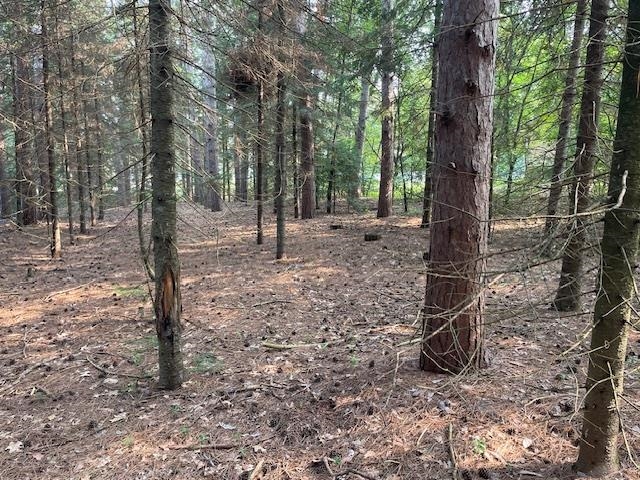 Lot 2 Plantation Lane Mosinee, WI 54455 - Photo 4 of 5