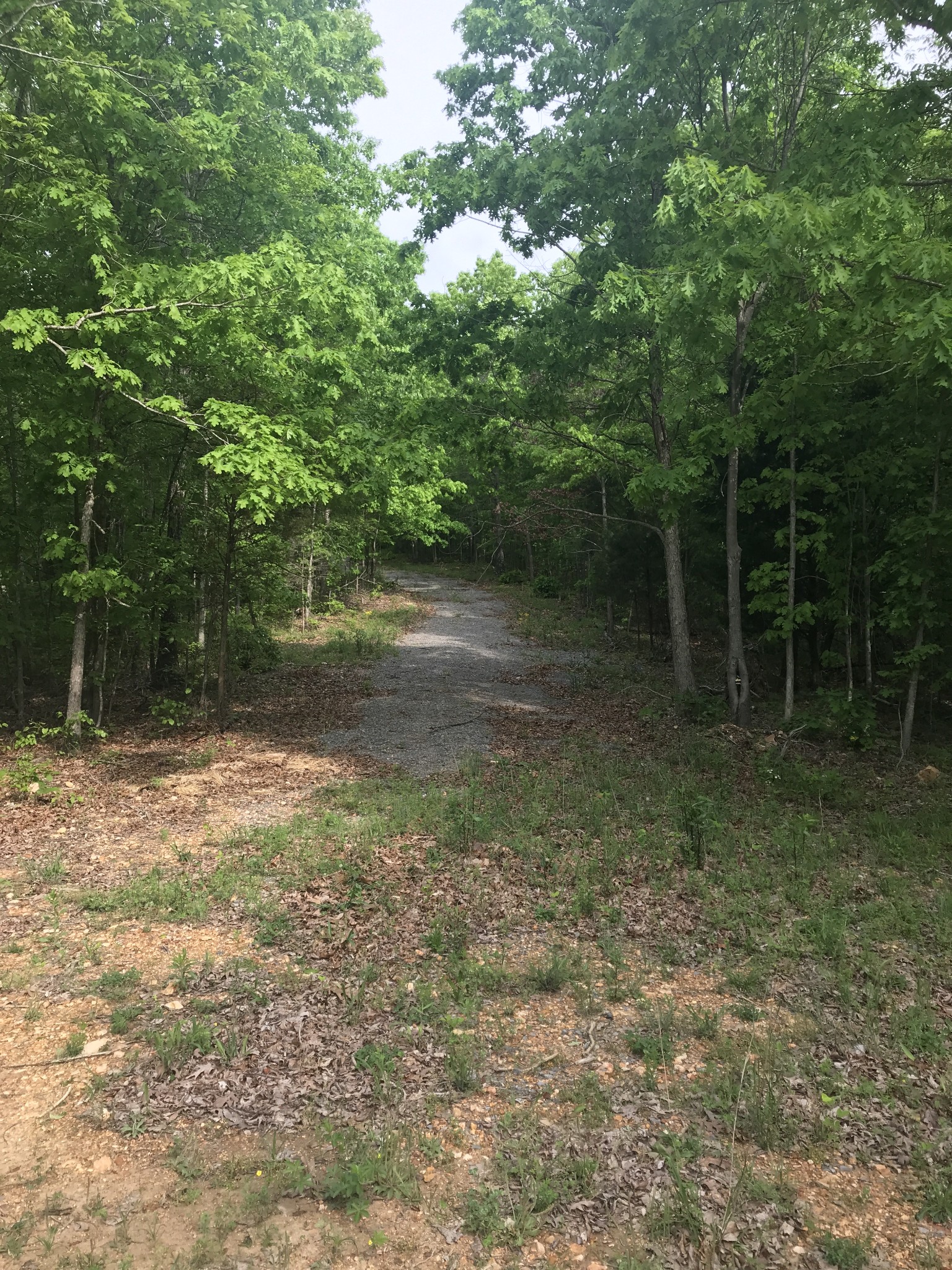 0 Skyline Ridge Dover, TN 37058 - Photo 5 of 8 Gallery Image 5
