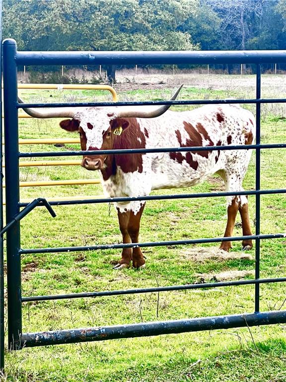 Tbd Sam Bass Road McGregor, TX 76657 - Photo 2 of 6 Gallery Image 2
