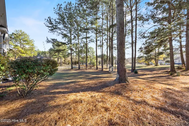 $545,000 | 244 Red Fox Run Drive, Wallace, NC 28466