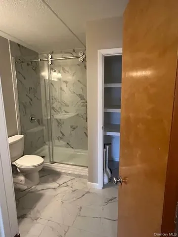 a bathroom with a shower and a toilet