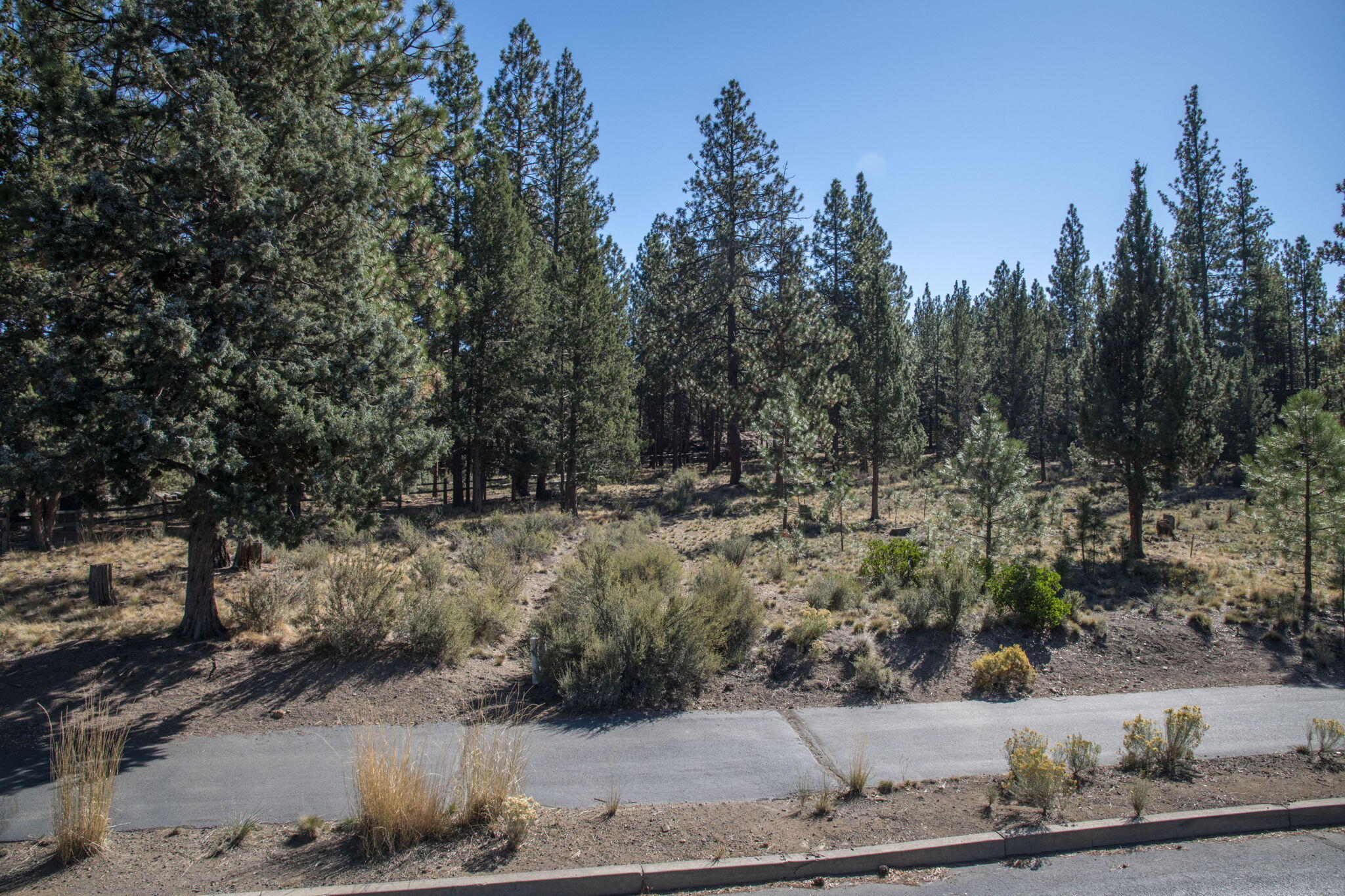61482 Meeks Trail Bend, OR 97702 - Photo 6 of 11 61482 Meeks Trl
