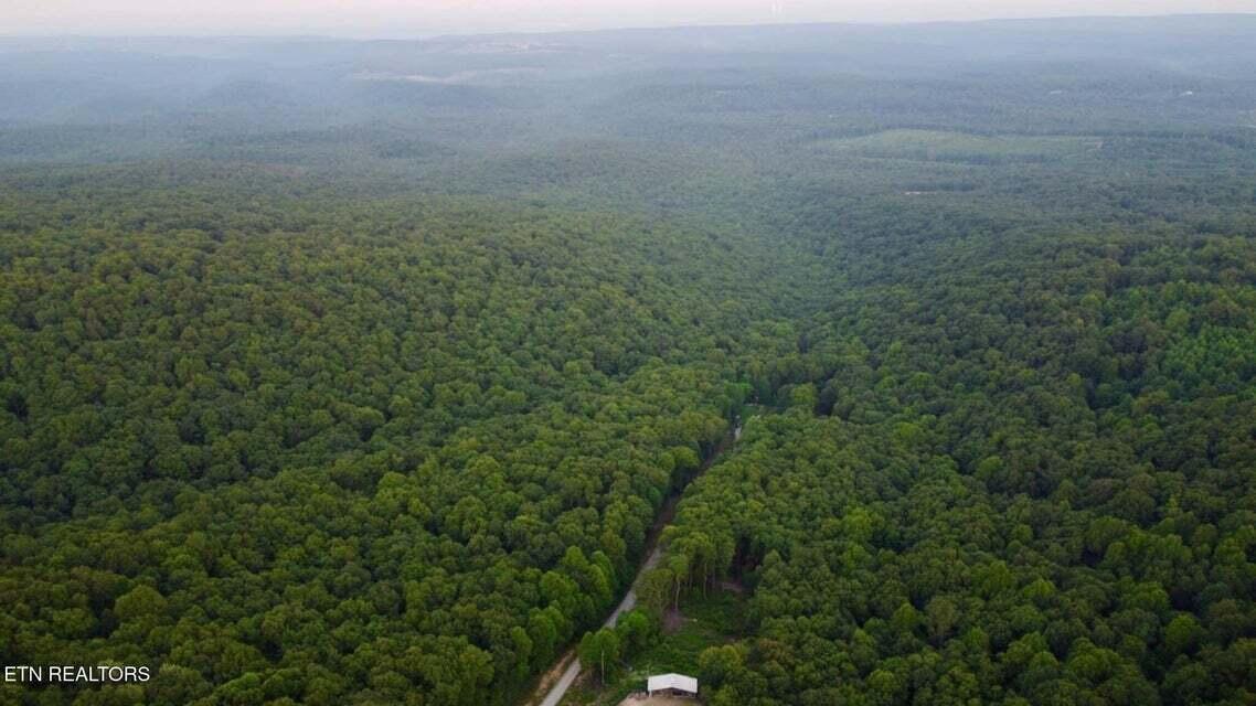 5.21-acres Browns Holler Road Spring City, TN 37381 - Photo 1 of 16 17A