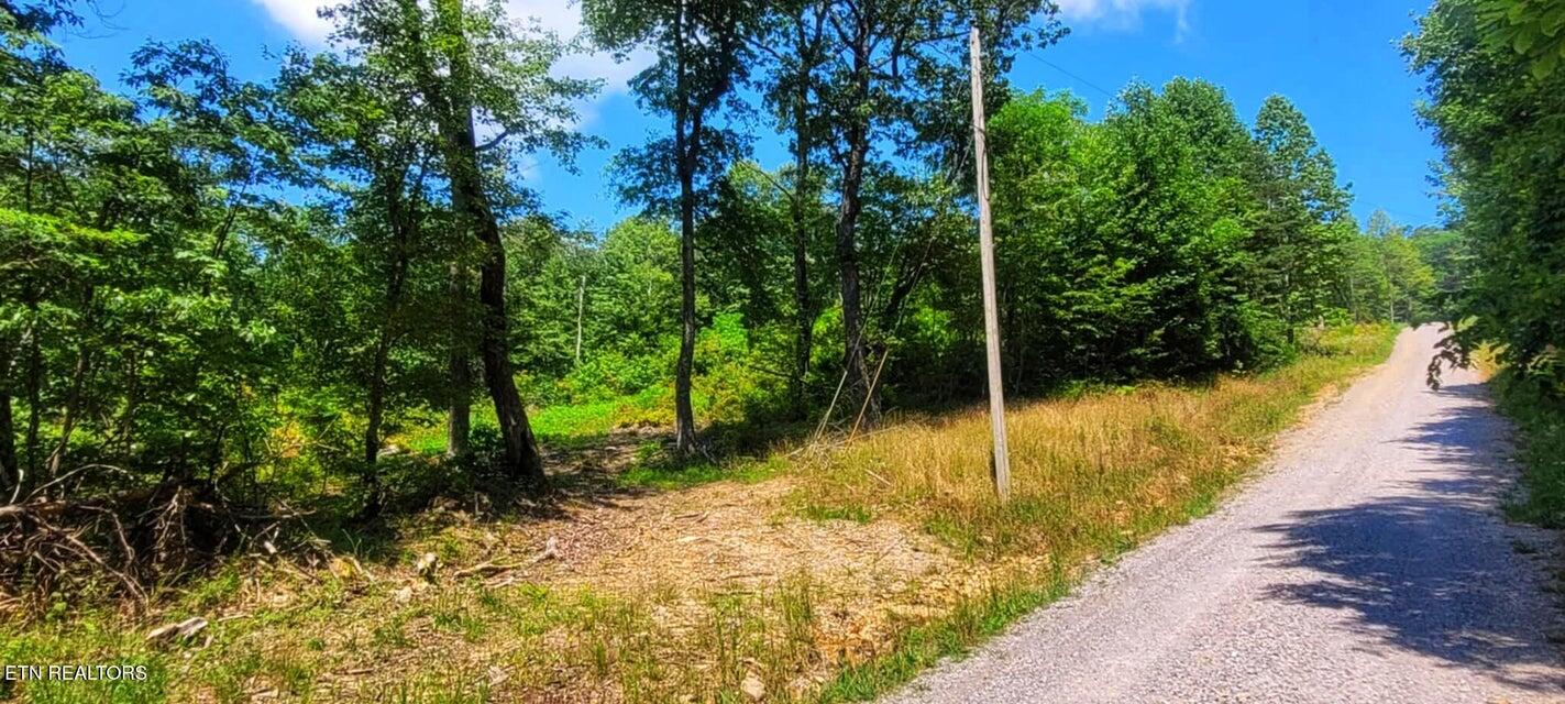 5.21-acres Browns Holler Road Spring City, TN 37381 - Photo 11 of 16 06A