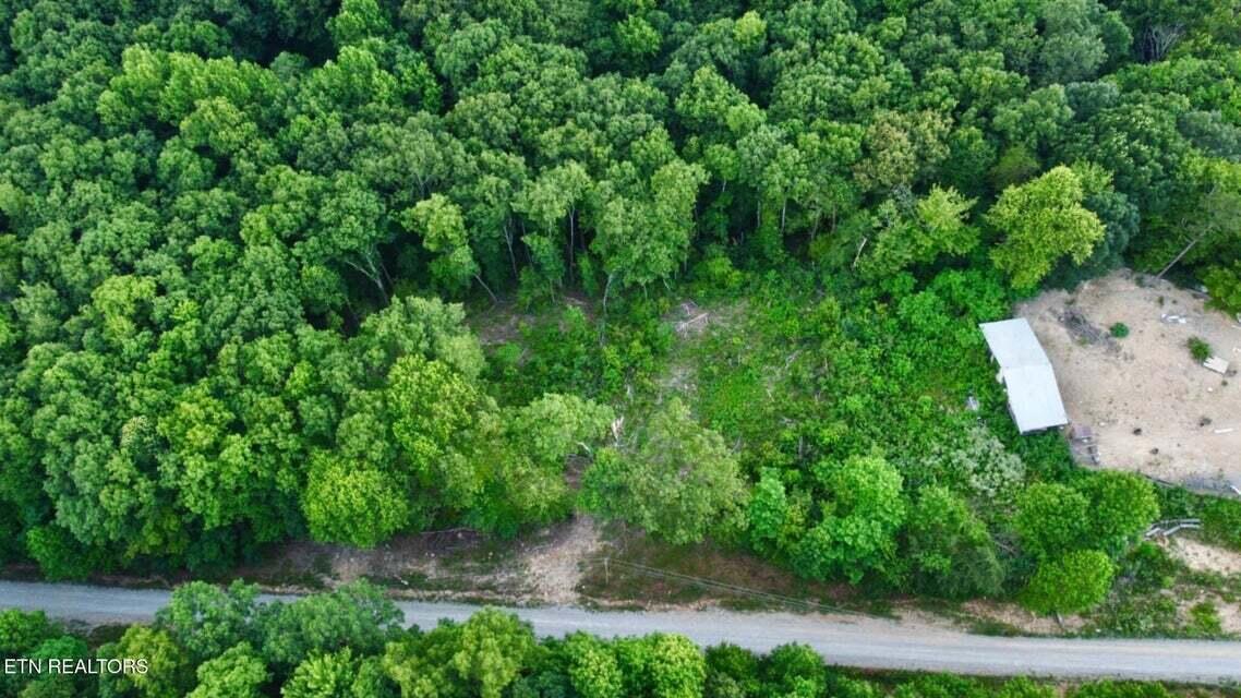 5.21-acres Browns Holler Road Spring City, TN 37381 - Photo 13 of 16 04A
