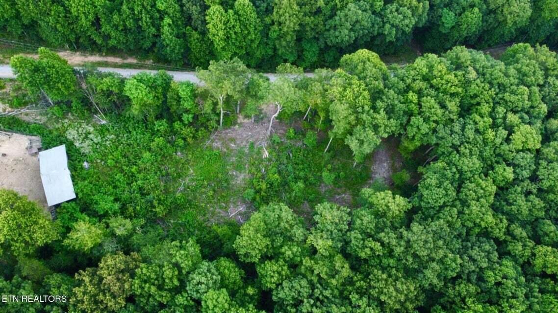 5.21-acres Browns Holler Road Spring City, TN 37381 - Photo 14 of 16 03A