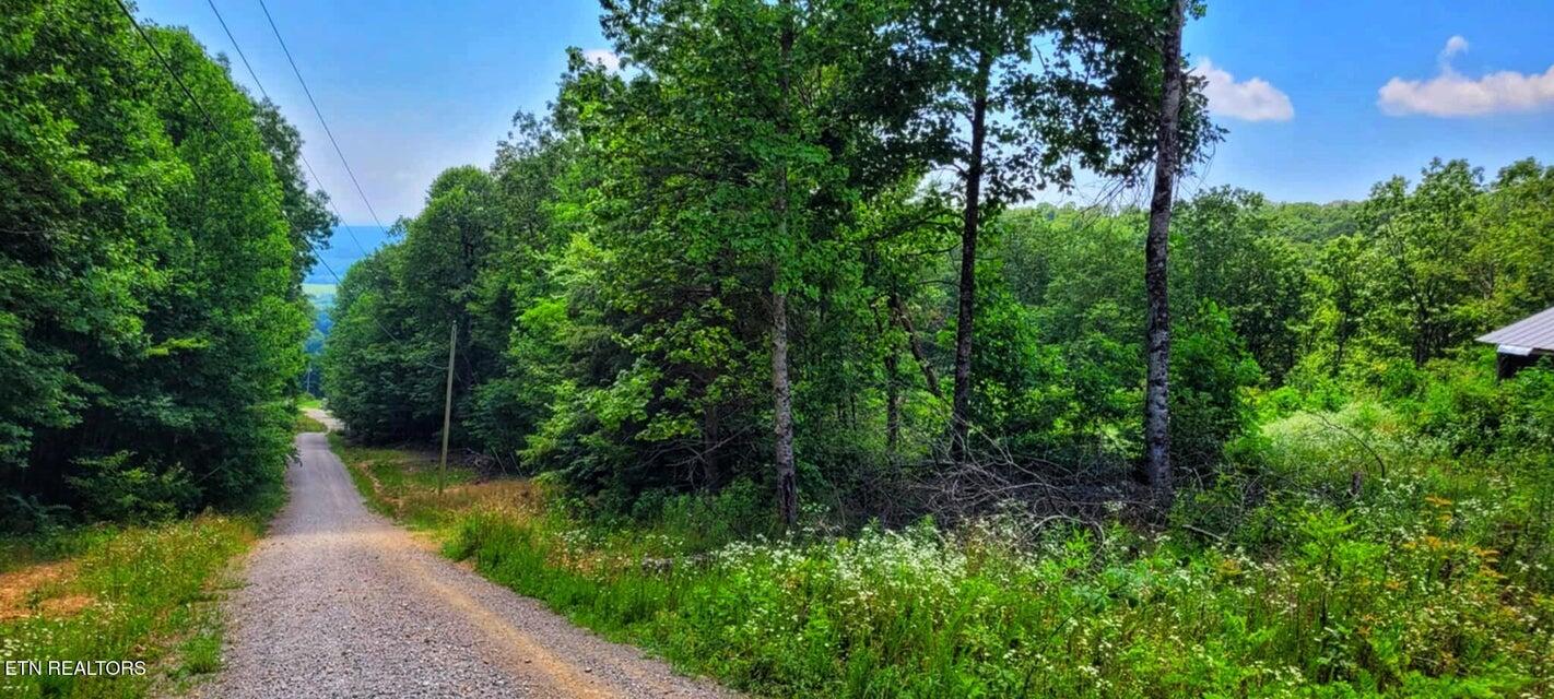 5.21-acres Browns Holler Road Spring City, TN 37381 - Photo 2 of 16 16A
