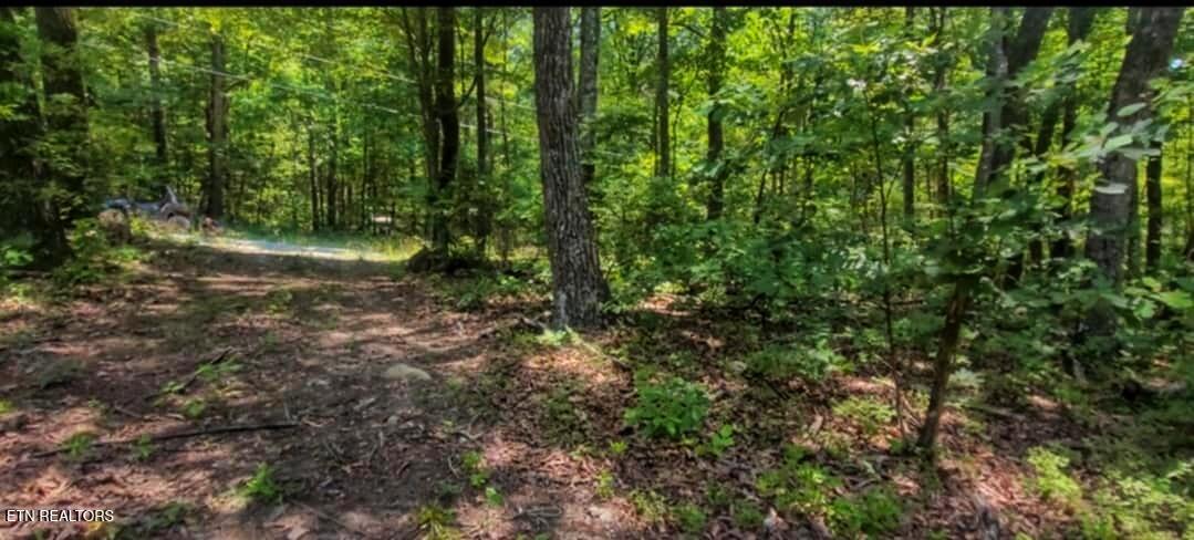 5.21-acres Browns Holler Road Spring City, TN 37381 - Photo 4 of 16 14A