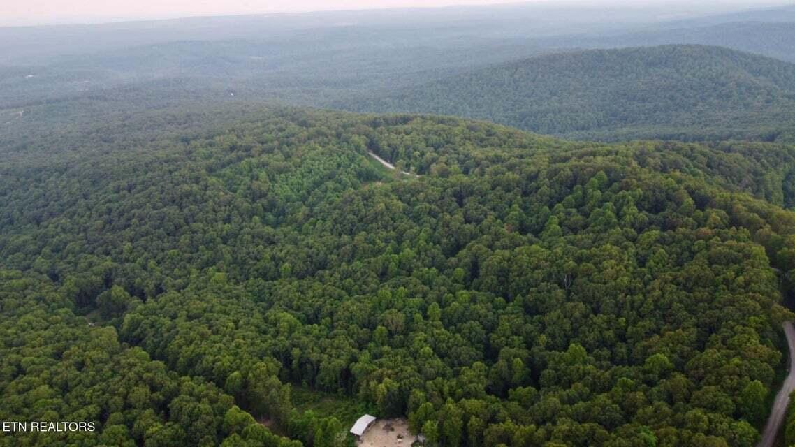 5.21-acres Browns Holler Road Spring City, TN 37381 - Photo 5 of 16 13A