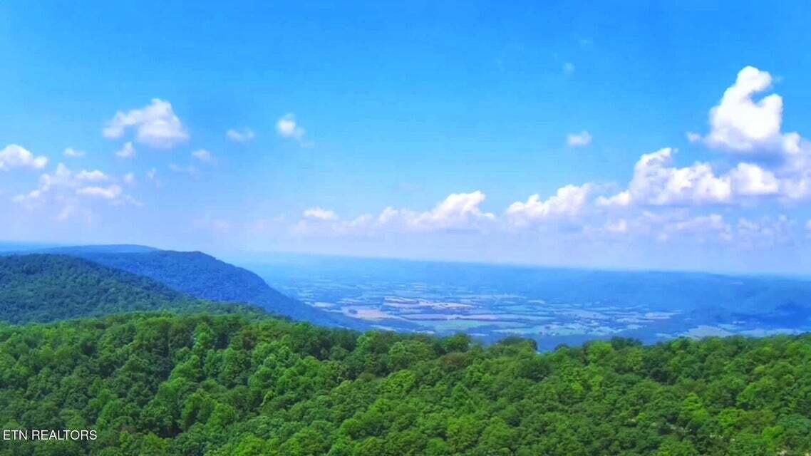 5.21-acres Browns Holler Road Spring City, TN 37381 - Photo 6 of 16 12A