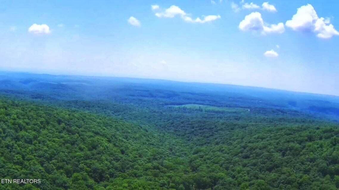 5.21-acres Browns Holler Road Spring City, TN 37381 - Photo 9 of 16 08A