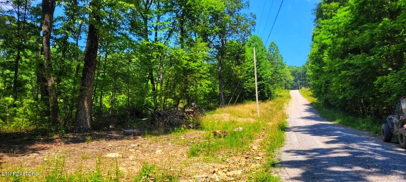 5.21-acres Browns Holler Road Spring City, TN 37381 - Photo 10 of 16 07A