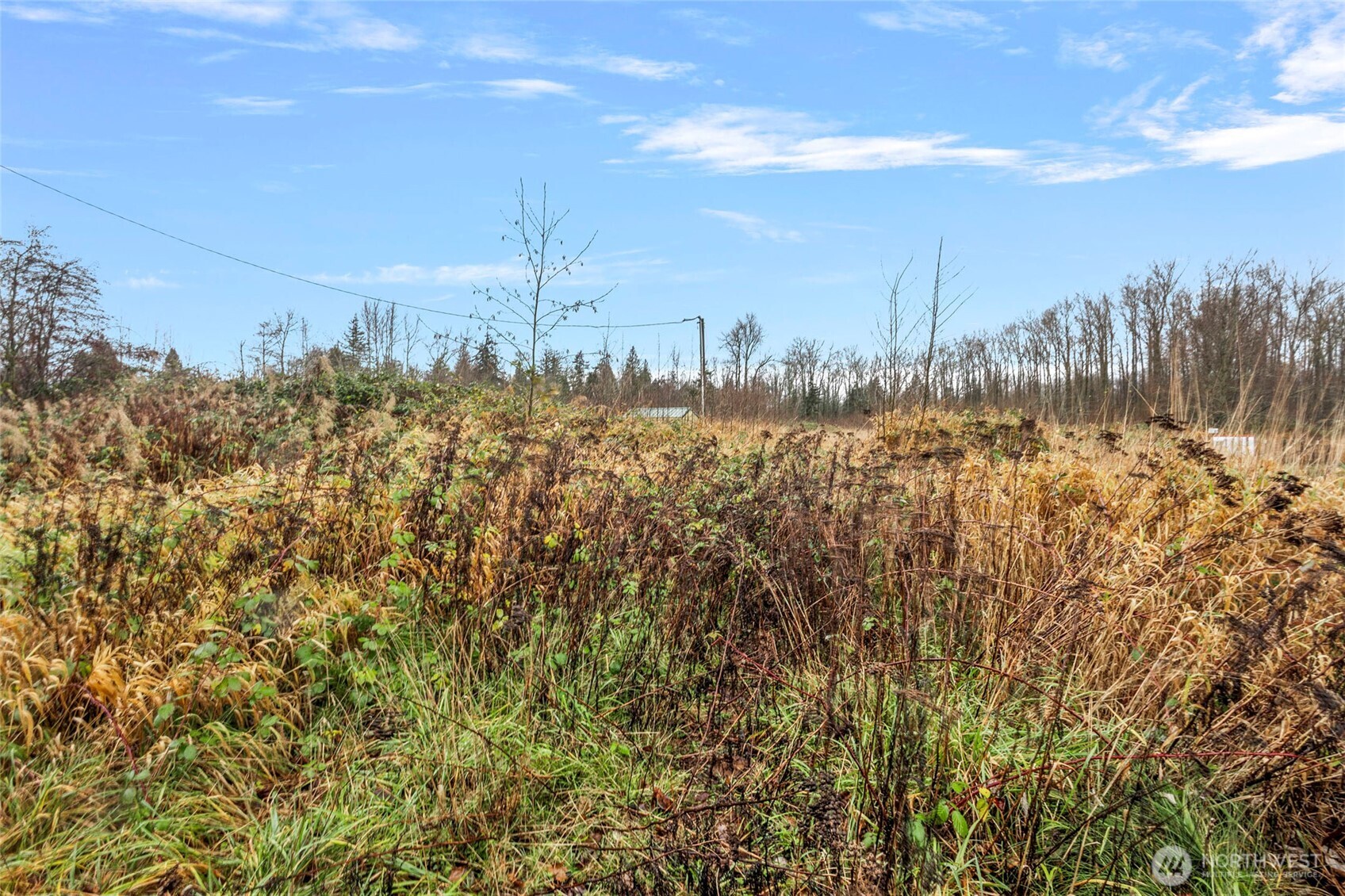 7125 Kickerville Road Ferndale, WA 98248 - Photo 4 of 4