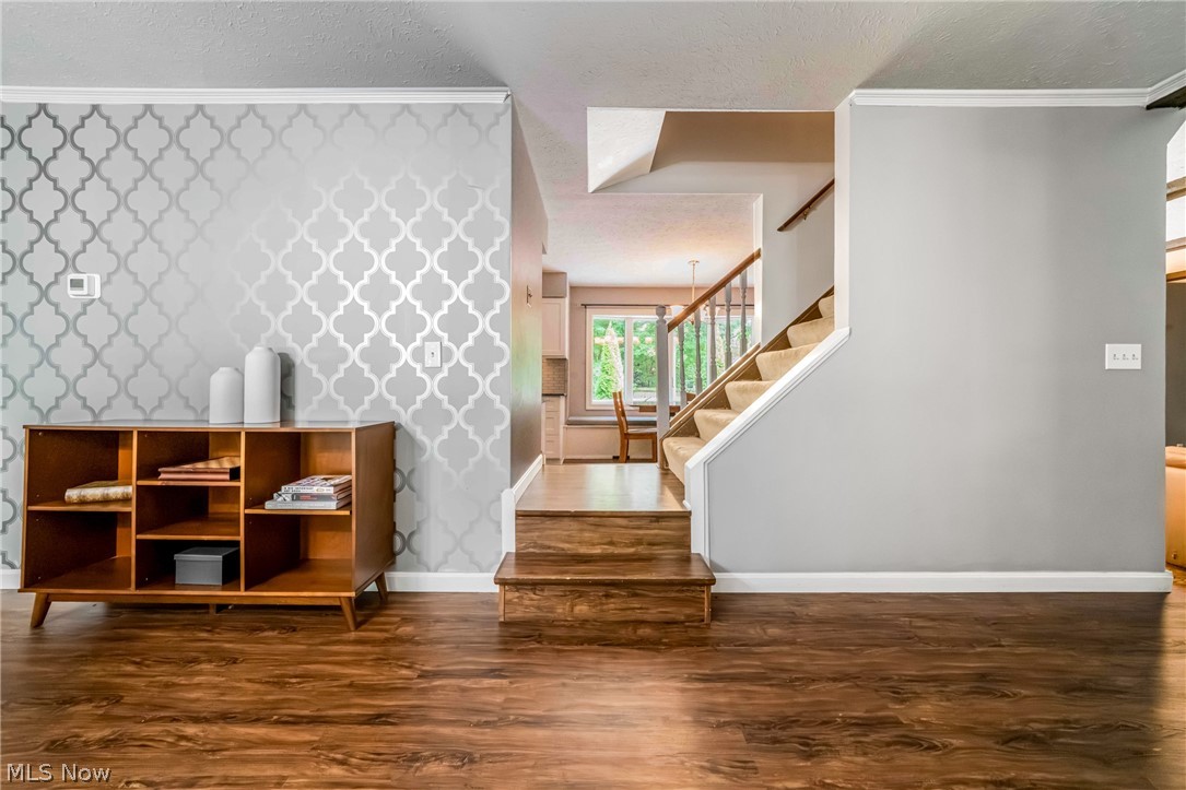 427 Armour Road Avon Lake, OH 44012 - Photo 6 of 48 Gallery Image 6