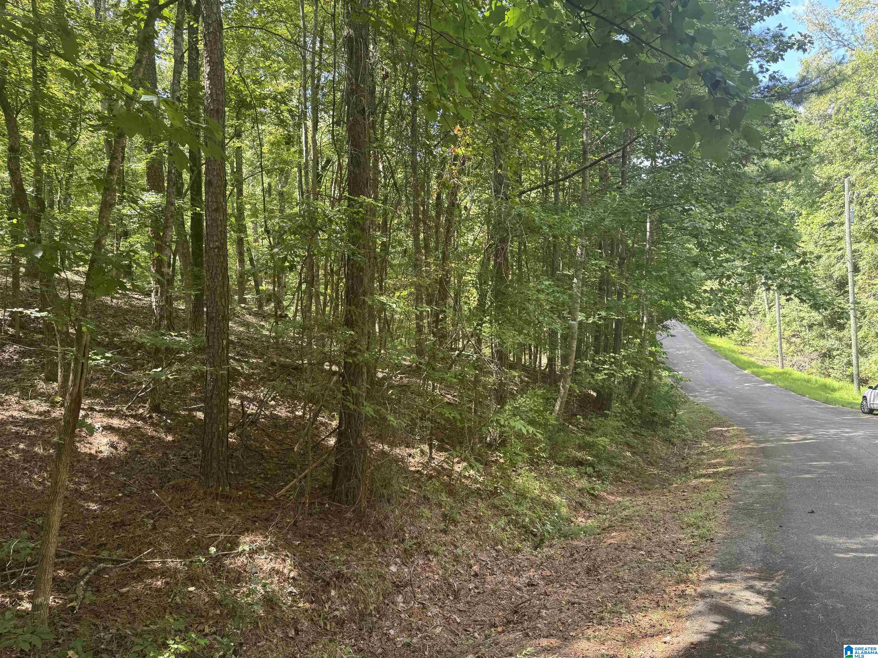 85 Mohawk Court, Unit 22 Ohatchee, AL 36271 - Photo 28 of 37