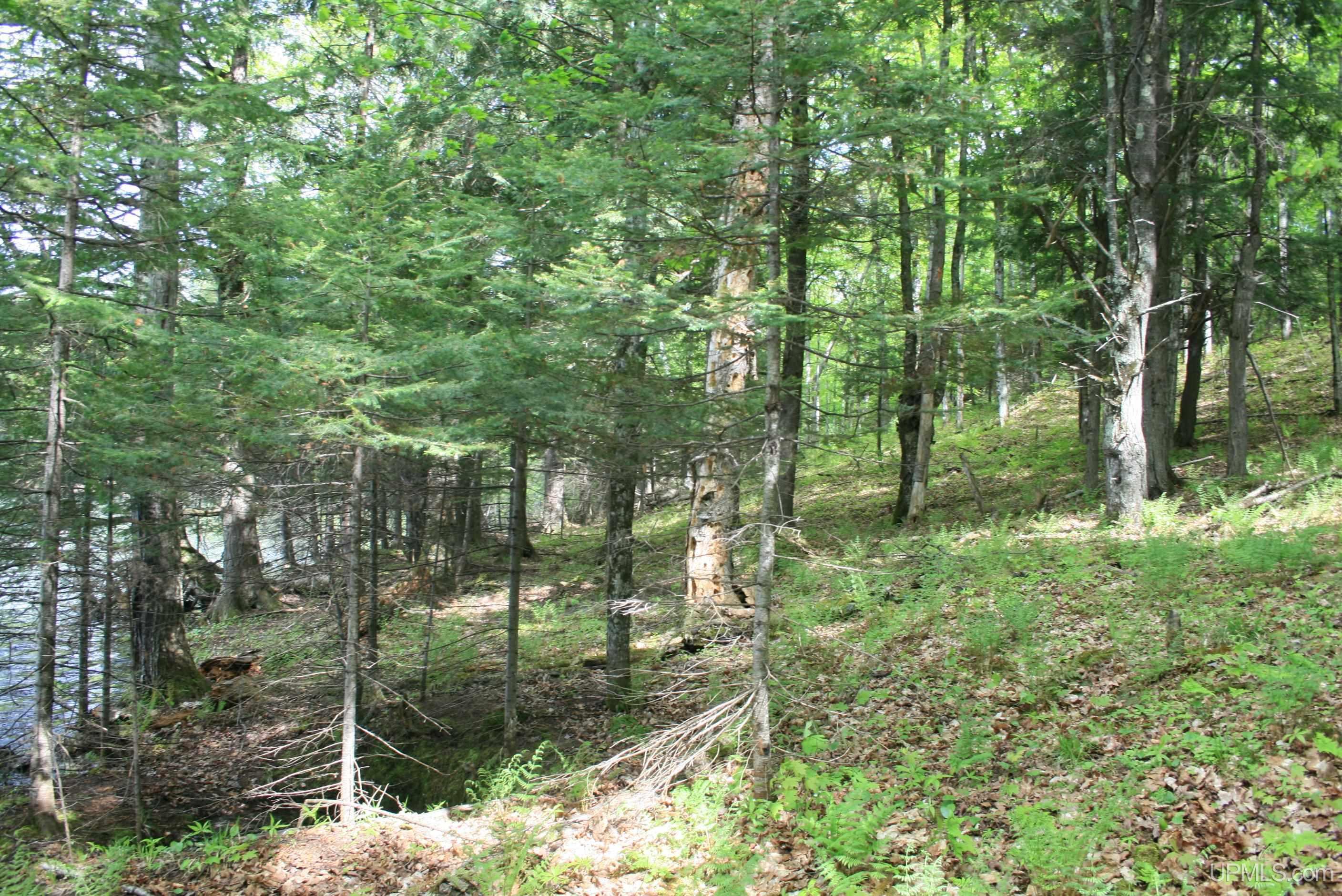 Tbd Sucker Lake Road Watersmeet, MI 49969 - Photo 16 of 24