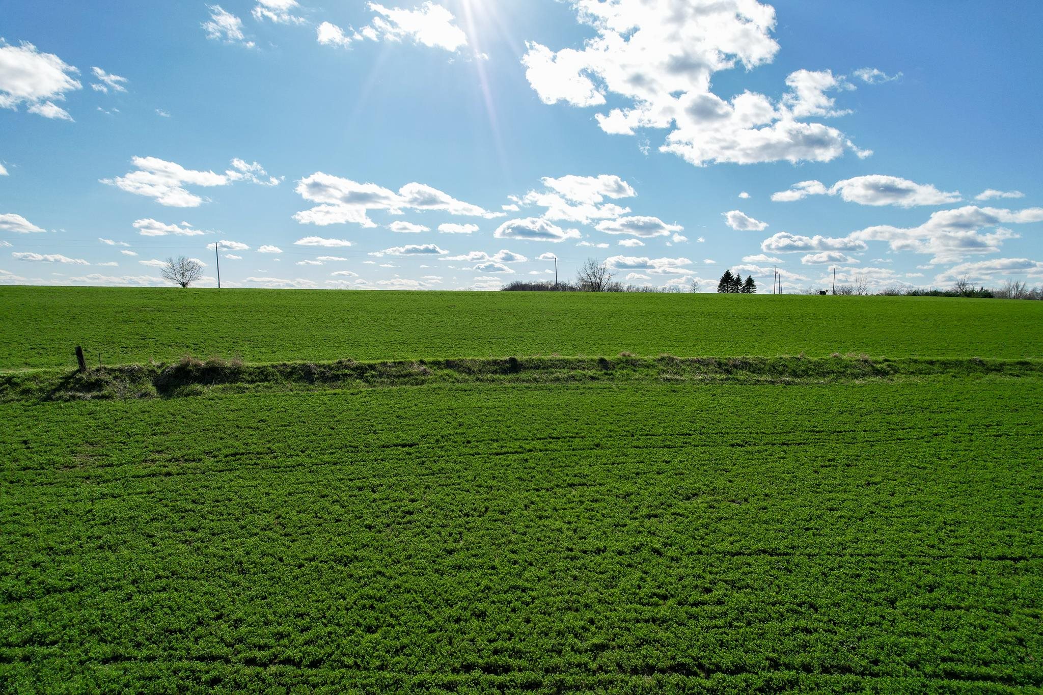 Tbd Mead Norwalk, WI 54648 - Photo 11 of 16