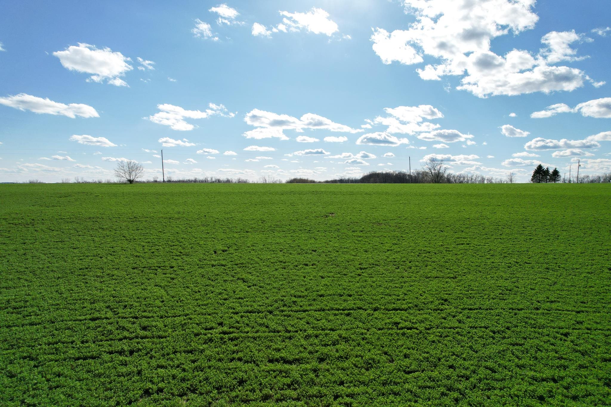 Tbd Mead Norwalk, WI 54648 - Photo 12 of 16