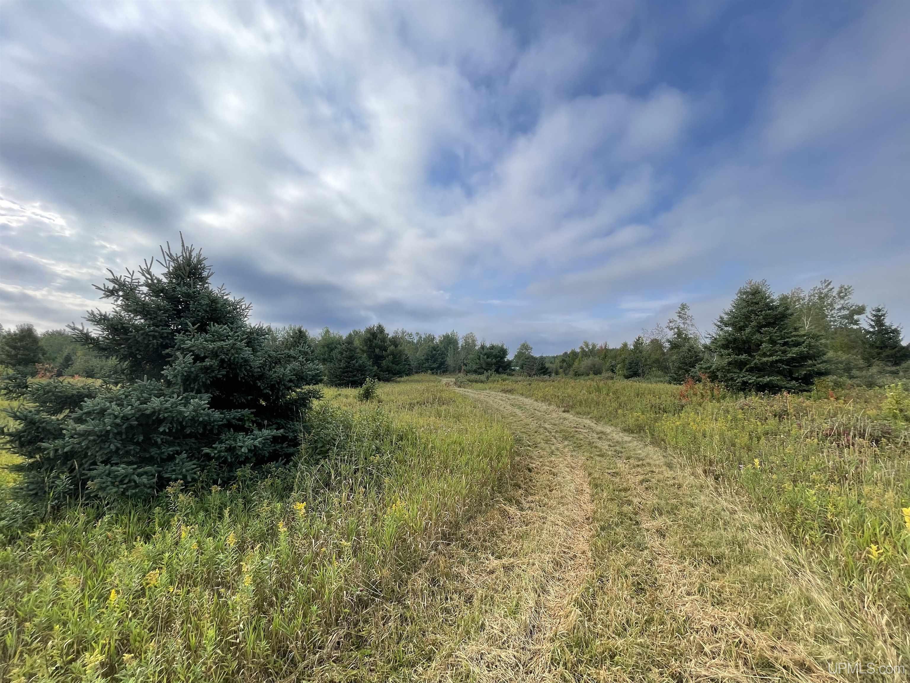Lot B Cadeau Road Baraga, MI 49908 - Photo 4 of 9 Gallery Image 4