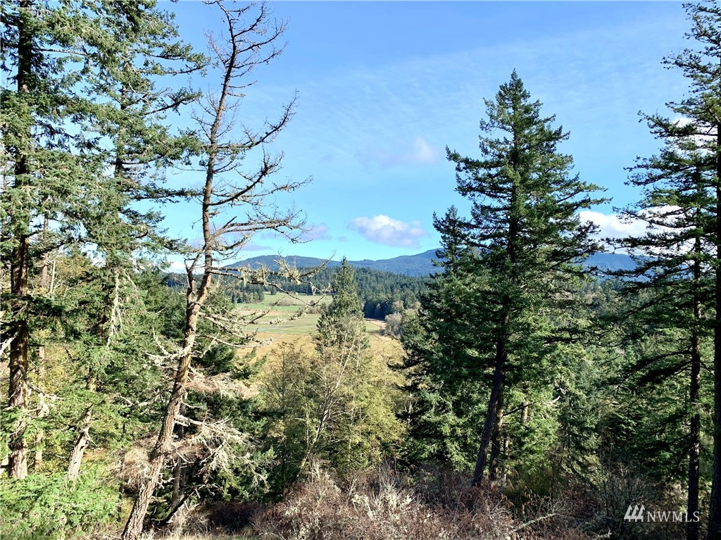 1755 Crow Valley Road Orcas Island, WA 98245 - Photo 7 of 32 Gallery Image 7