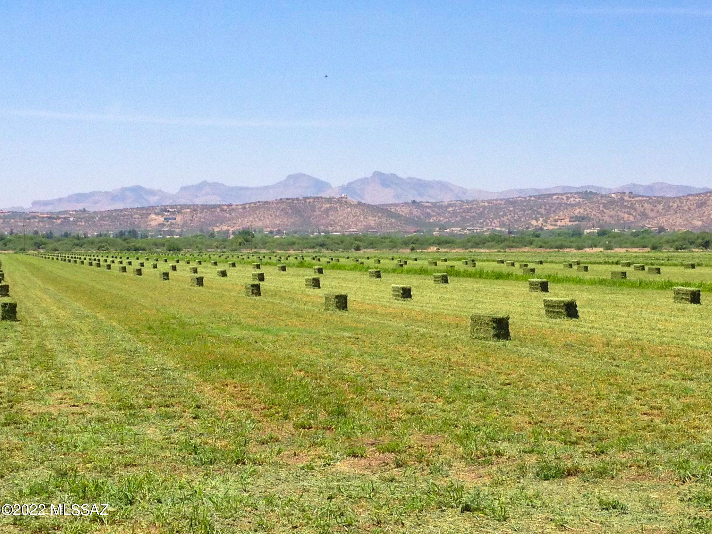 Dos Arbolitos Ranch Rio Rico, AZ 85648 - Photo 1 of 19