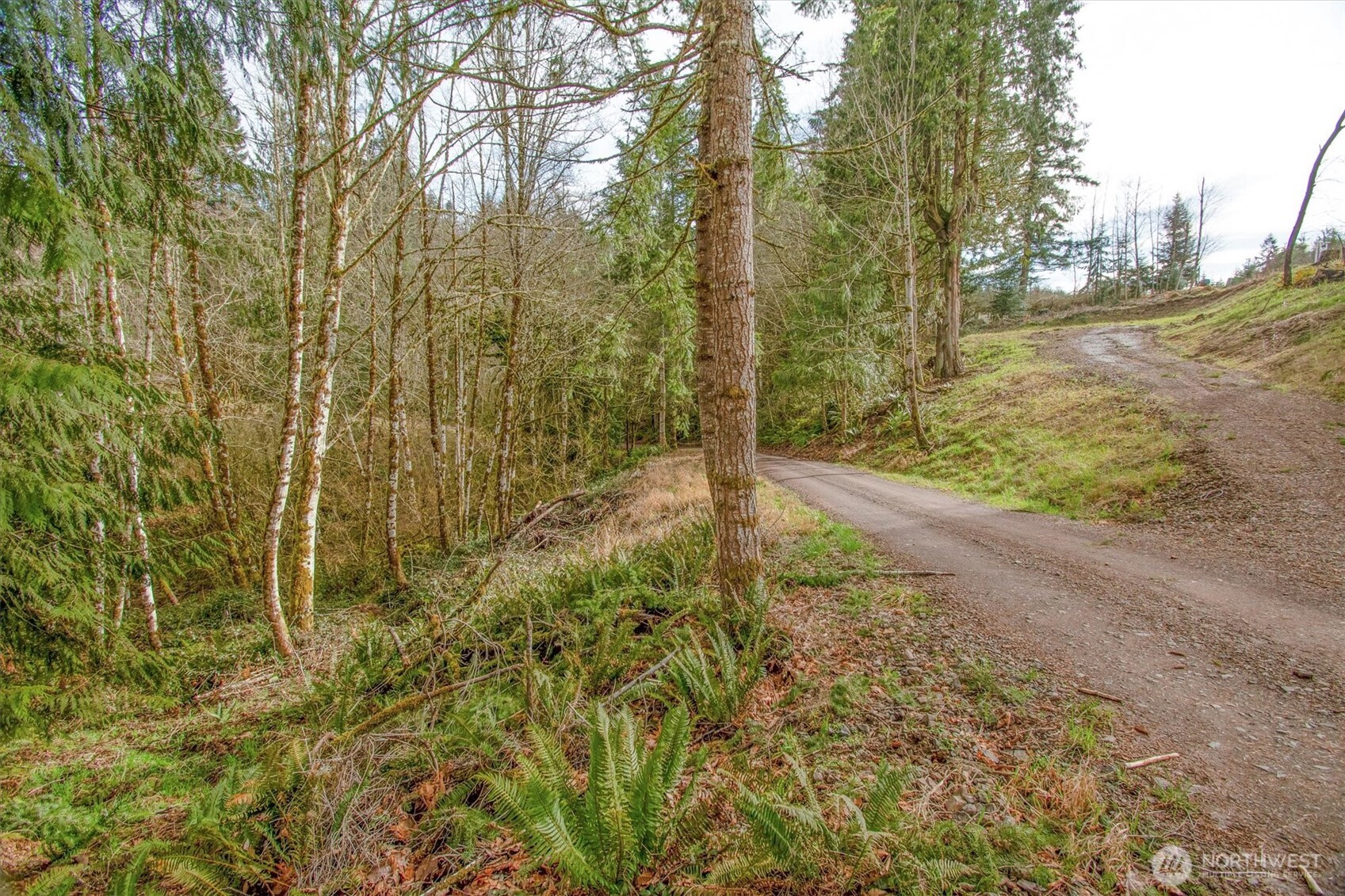 0 Young Road Kelso, WA 98626 - Photo 8 of 30 Gallery Image 8