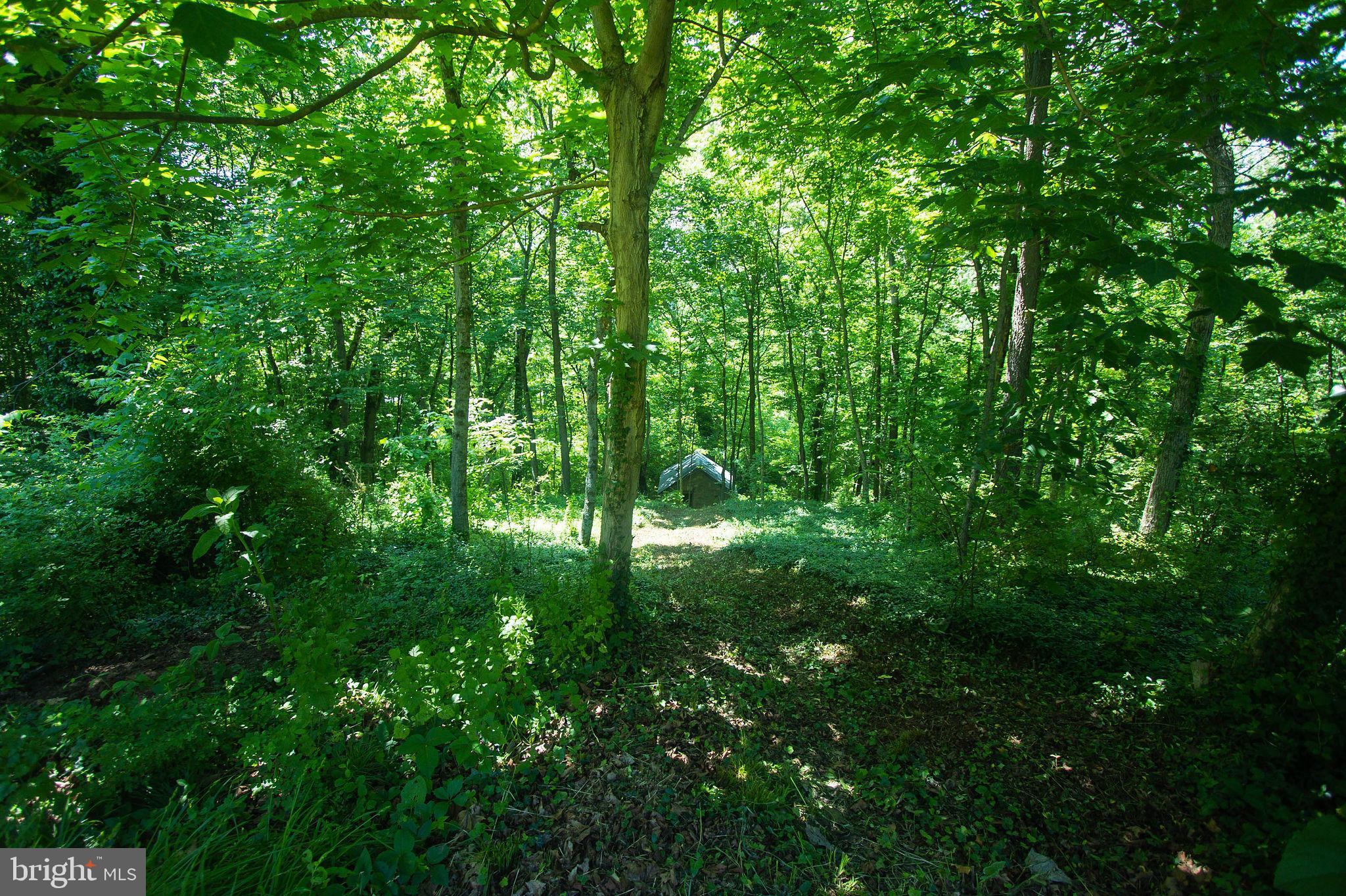 2919 Hammonds Mill Road Hedgesville, WV 25427 - Photo 51 of 61