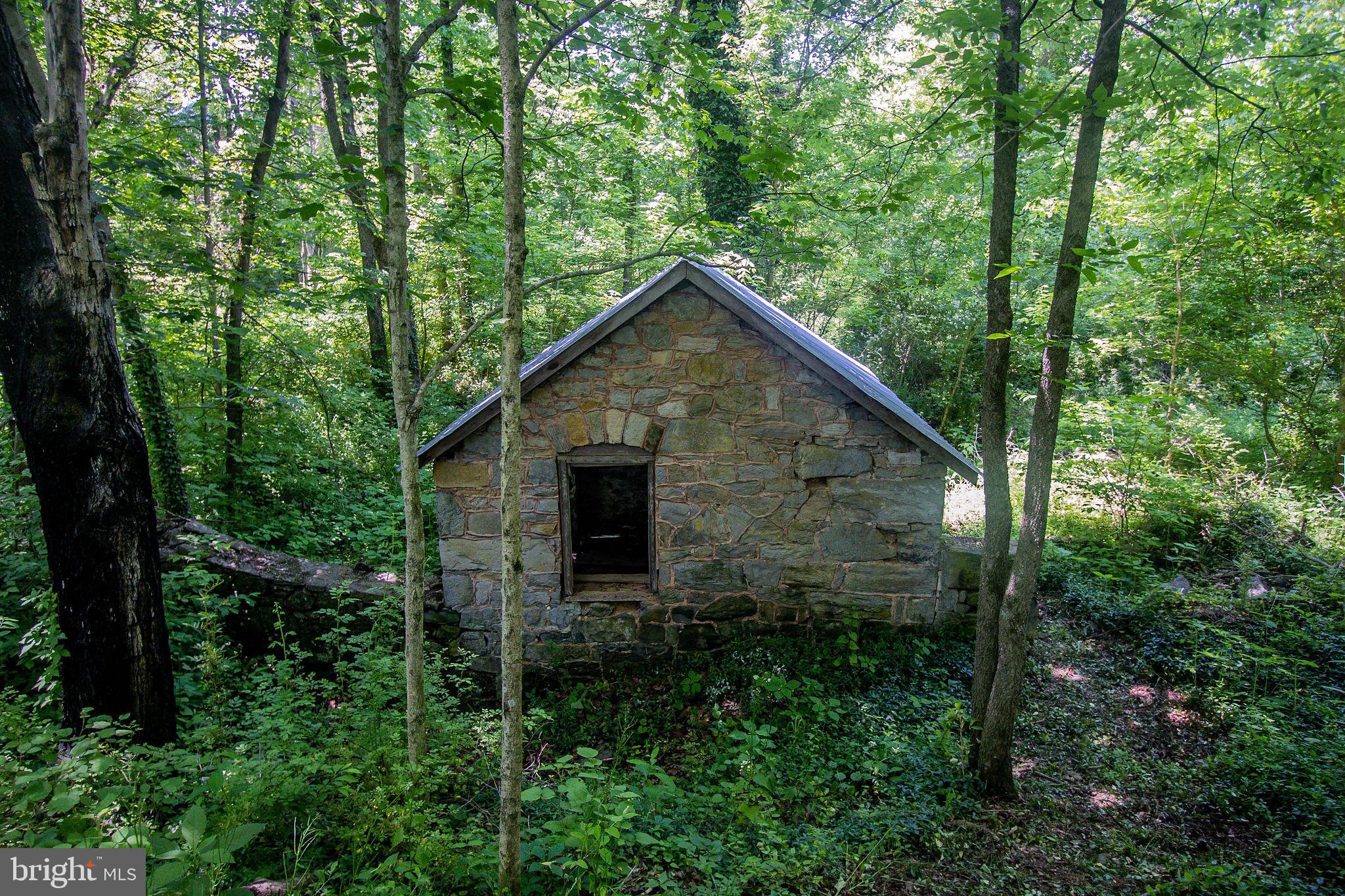 2919 Hammonds Mill Road Hedgesville, WV 25427 - Photo 6 of 61