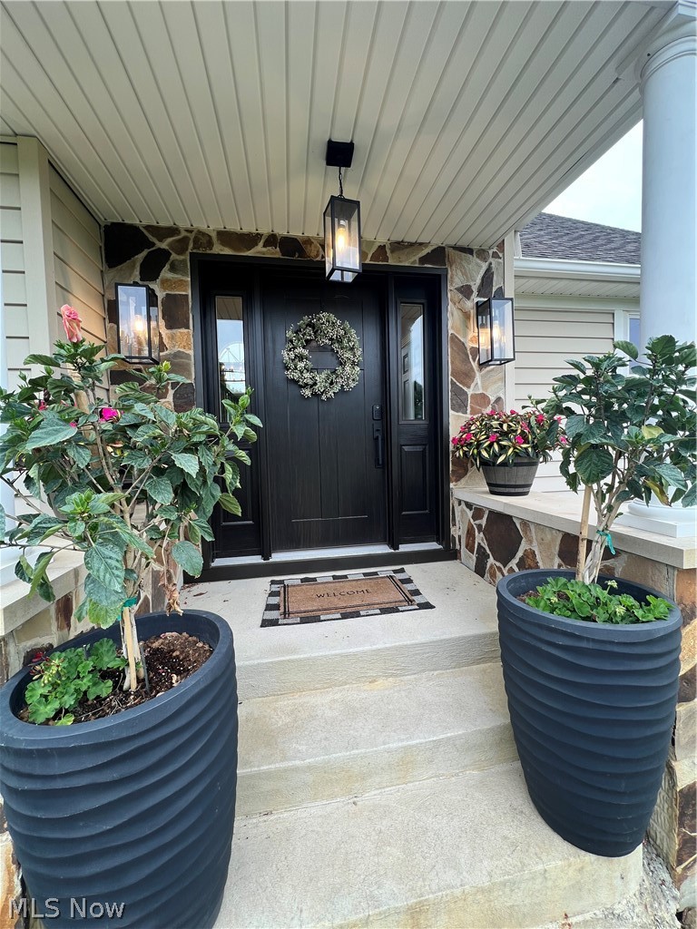 41 West Nimisila Road New Franklin, OH 44319 - Photo 6 of 50 New Entry Door and light