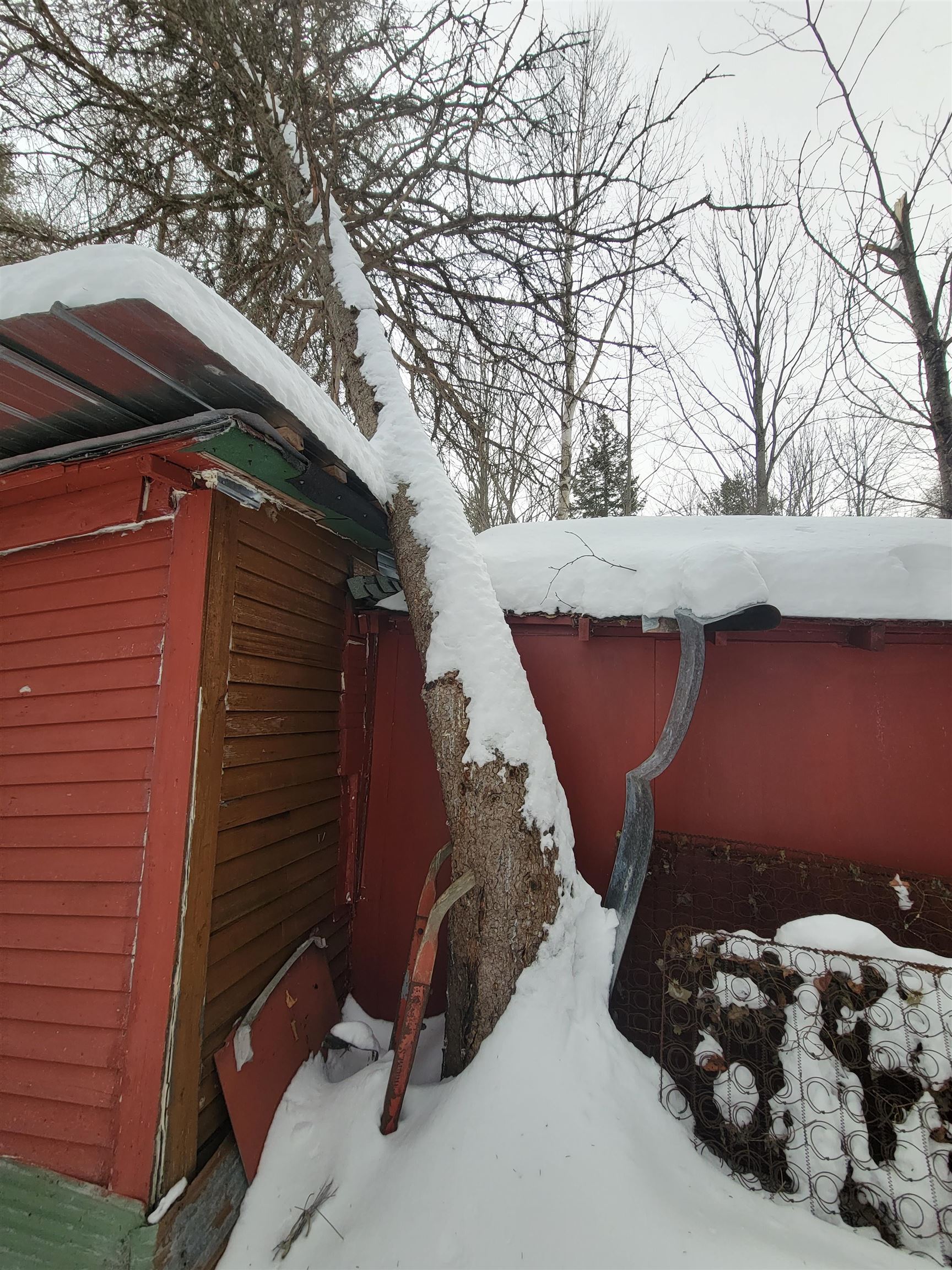 133 Red Schoolhouse Road Wheelock, VT 05851 - Photo 11 of 27 Gallery Image 11