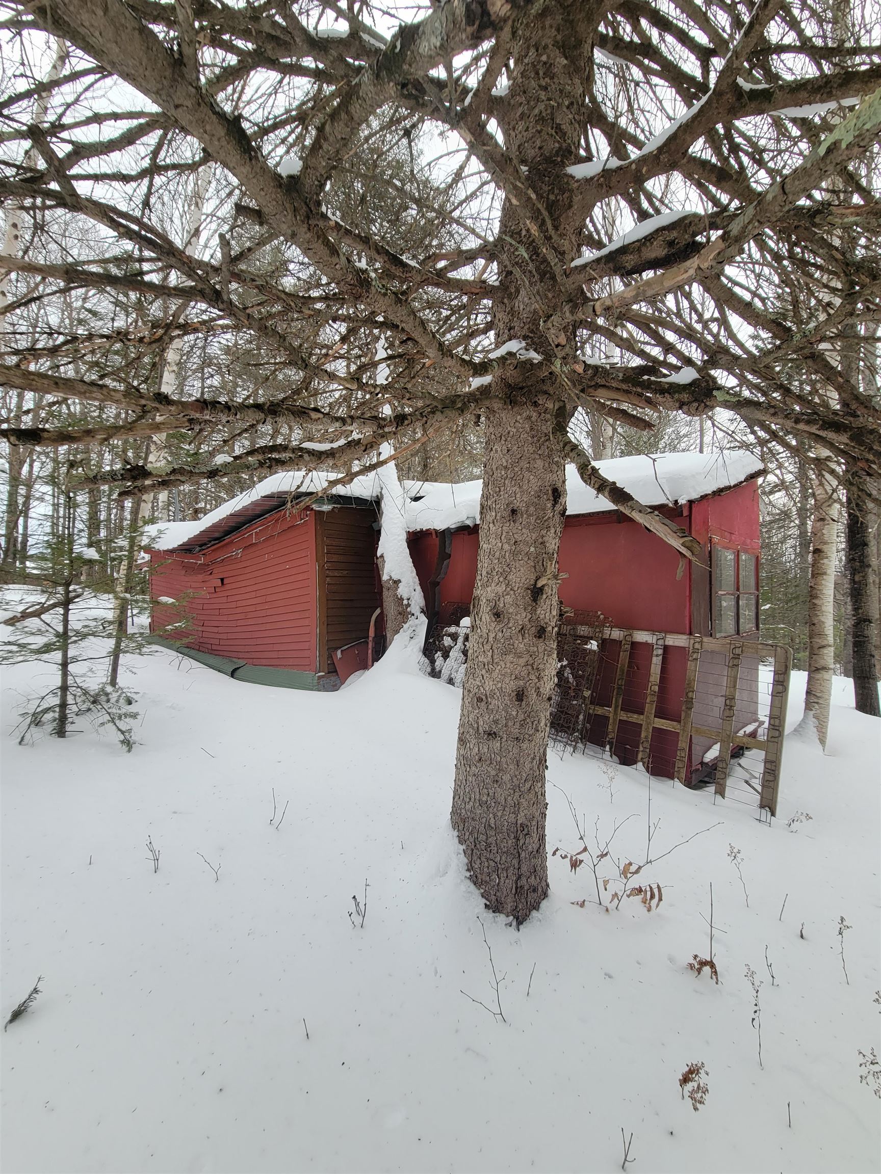 133 Red Schoolhouse Road Wheelock, VT 05851 - Photo 10 of 27 Gallery Image 10