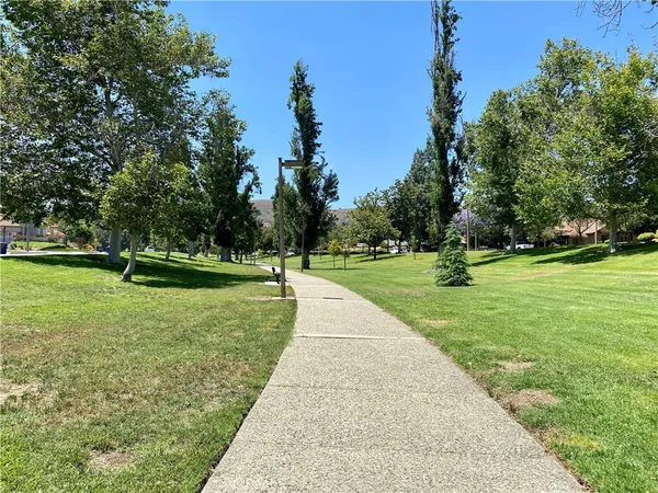 a view of a park with tree s